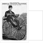 The Celebrated American Improved Velocipede Illustration by Anonymous