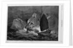 Chinese Pirates Attacking a Trader by Julian Oliver Davidson