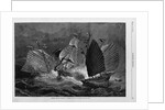 Chinese Pirates Attacking a Trader by Julian Oliver Davidson