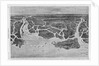Bird-Eye View of the Coast, From Savannah, Georgia to Beaufort, South Carolina, Showing the Postitio by Anonymous