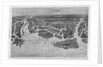 Bird-Eye View of the Coast, From Savannah, Georgia to Beaufort, South Carolina, Showing the Postitio by Anonymous