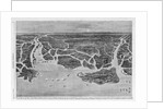 Bird-Eye View of the Coast, From Savannah, Georgia to Beaufort, South Carolina, Showing the Postitio by Anonymous