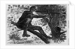 The Army of the Potomac Wood Engraving by Winslow Homer
