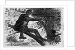 The Army of the Potomac Wood Engraving by Winslow Homer
