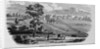 Shaker Village, Canterbury, New Hampshire by Anonymous
