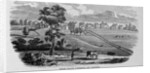 Shaker Village, Canterbury, New Hampshire by Anonymous