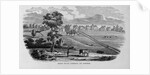 Shaker Village, Canterbury, New Hampshire by Anonymous