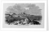 Lowell Island, Salem Harbor, Massachusetts by Anonymous