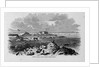 Lowell Island, Salem Harbor, Massachusetts by Anonymous