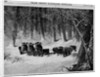 New York - The Shakers at Lebanon Enjoying A Sleigh Ride by Corbis