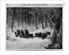 New York - The Shakers at Lebanon Enjoying A Sleigh Ride by Corbis