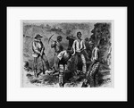 Virginia - Negro Convicts Working on the Railroad in the Mountain by Anonymous