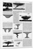 Magazine Illustrations of Tornadoes and Cyclones Published in Harper's Weekly by Anonymous