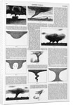 Magazine Illustrations of Tornadoes and Cyclones Published in Harper's Weekly by Anonymous