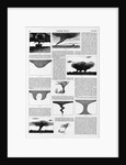Magazine Illustrations of Tornadoes and Cyclones Published in Harper's Weekly by Anonymous