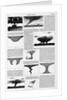 Magazine Illustrations of Tornadoes and Cyclones Published in Harper's Weekly by Anonymous