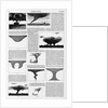 Magazine Illustrations of Tornadoes and Cyclones Published in Harper's Weekly by Anonymous