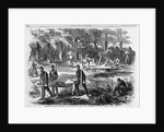Carrying in the Wounded at the Battle of Bull Run by Anonymous