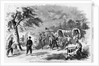 Camp Life in the Confederate Army - Mississippians Practicing with the Bowie Knife by Anonymous