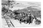 Immigrants waiting to be destributed in the coal regions of Pennsylvania from nature by W.A. Rogers