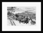Immigrants waiting to be destributed in the coal regions of Pennsylvania from nature by W.A. Rogers
