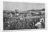 In a cotton field by Horace Bradley
