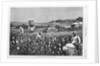 In a cotton field by Horace Bradley