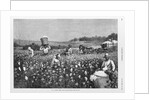 In a cotton field by Horace Bradley