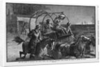 The Ute scare in Colorado - The Indian signal fire - Settlers abandoning their ranches and flying to Meeker, for safety by Anonymous