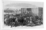 Kansas - Transport of Texas beef on the Kansas Pacific railway - scene at a cattle shoot in Abilene, Kansas by Anonymous