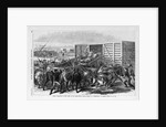Kansas - Transport of Texas beef on the Kansas Pacific railway - scene at a cattle shoot in Abilene, Kansas by Anonymous