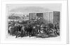 Kansas - Transport of Texas beef on the Kansas Pacific railway - scene at a cattle shoot in Abilene, Kansas by Anonymous