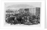 Kansas - Transport of Texas beef on the Kansas Pacific railway - scene at a cattle shoot in Abilene, Kansas by Anonymous