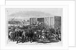 Kansas - Transport of Texas beef on the Kansas Pacific railway - scene at a cattle shoot in Abilene, Kansas by Anonymous
