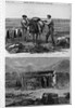 Professor Hayden's Expedition of the rocky Mountains - Packers 'Cinching' Up. Professor Hayden's Exp by Anonymous