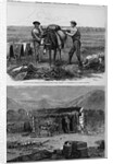 Professor Hayden's Expedition of the rocky Mountains - Packers 'Cinching' Up. Professor Hayden's Exp by Anonymous