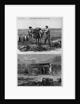 Professor Hayden's Expedition of the rocky Mountains - Packers 'Cinching' Up. Professor Hayden's Exp by Anonymous