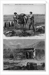 Professor Hayden's Expedition of the rocky Mountains - Packers 'Cinching' Up. Professor Hayden's Exp by Anonymous