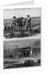 Professor Hayden's Expedition of the rocky Mountains - Packers 'Cinching' Up. Professor Hayden's Exp by Anonymous