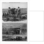 Professor Hayden's Expedition of the rocky Mountains - Packers 'Cinching' Up. Professor Hayden's Exp by Anonymous
