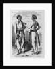 Sepoys in Their Native Costume by Anonymous