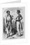 Sepoys in Their Native Costume by Anonymous