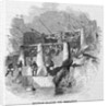 Egyptian Shadoof for Irrigation by Anonymous