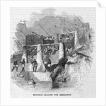 Egyptian Shadoof for Irrigation by Anonymous