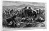 Whisky on the plains - A party of Indians, discovering that a lot of contraband whisky is being destroyed by the authorities, endeavor to save what th by Anonymous