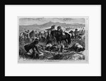 Whisky on the plains - A party of Indians, discovering that a lot of contraband whisky is being destroyed by the authorities, endeavor to save what th by Anonymous