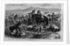 Whisky on the plains - A party of Indians, discovering that a lot of contraband whisky is being destroyed by the authorities, endeavor to save what th by Anonymous