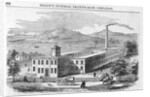 View of Appleton, Tracy & Co.'s Watch Manufactory Magazine Illustration Published in Ballou's Pictorial Drawing Room Companion by Anonymous
