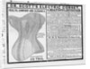 An advertisement for Dr. Scott's electrical corset by Anonymous