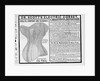 An advertisement for Dr. Scott's electrical corset by Anonymous